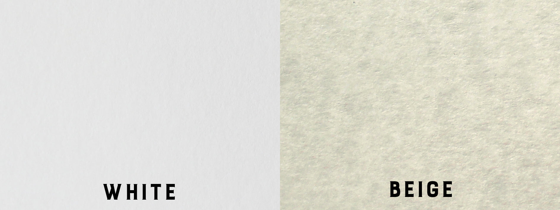 Canoeist Paradise - Letterpress Cards