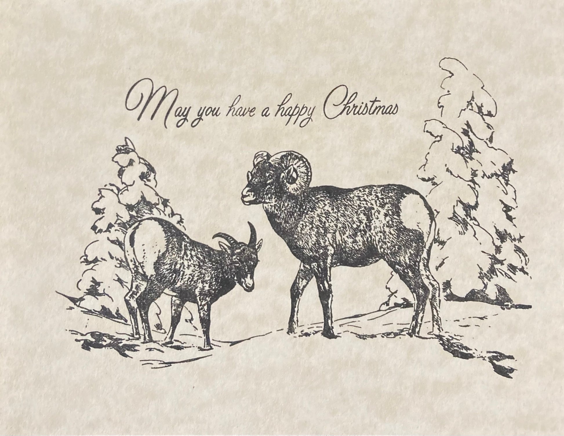 Christmas - Letterpress Cards